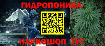 крисы Краснознаменск