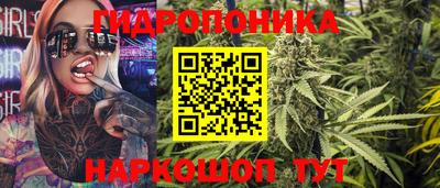 крисы Краснознаменск