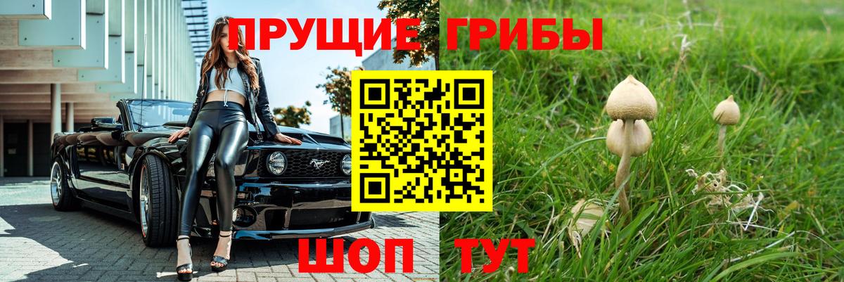 Галлюциногенные грибы мицелий Ковров