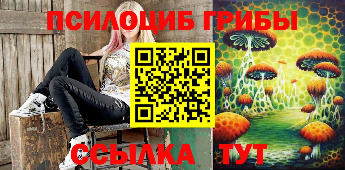 Псилоцибиновые грибы MAGIC MUSHROOMS  Галлюциногенные грибы Psilocybe  Вход с VPN  Ковров 